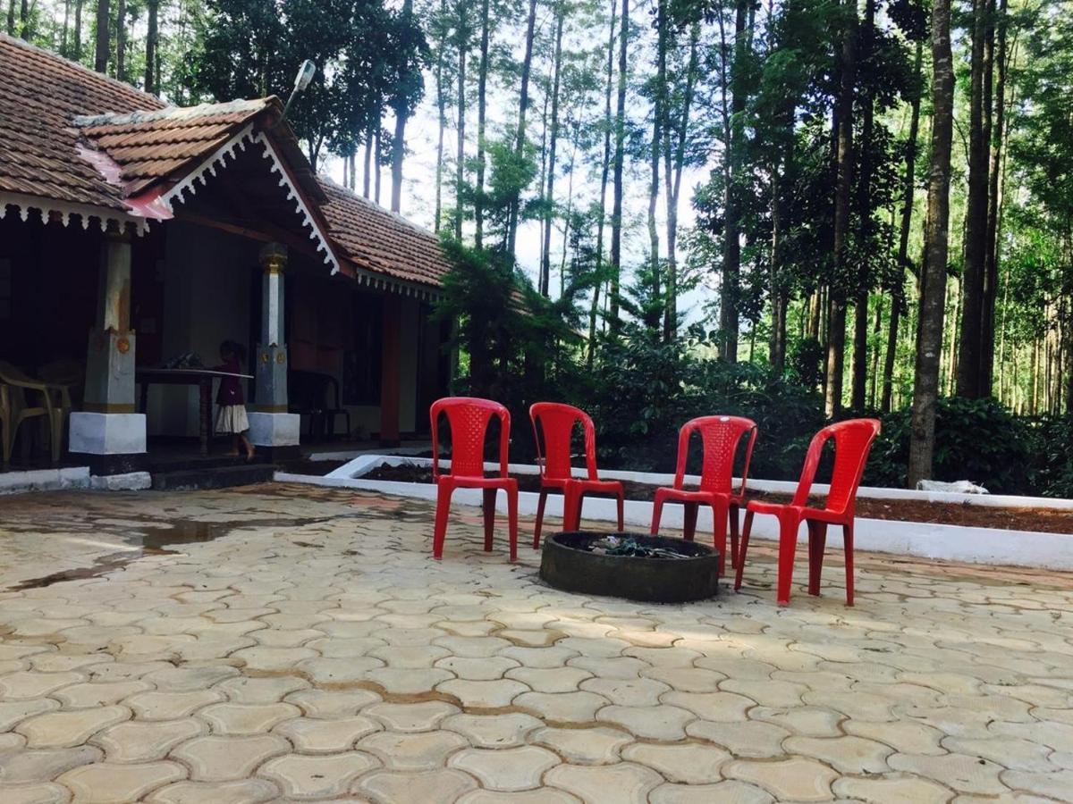 Silver Shadow Homestay Chikmagalūr Eksteriør bilde
